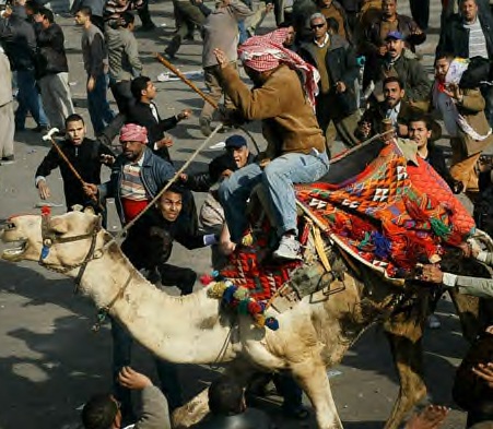 تصاویر: ورود حامیان شتر سوار مبارک و حمله به معترضین
