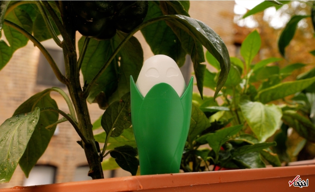 حسگر هوشمند ویژه پرورش گیاهان+تصاویر