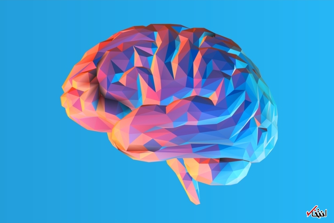 تضمین تقویت حافظه با مکمل پروبیوتیک