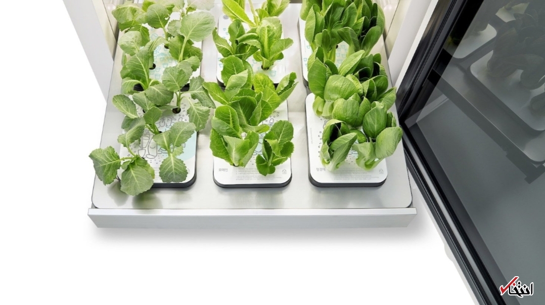 باغچه هوشمند با قابلیت پرورش انواع گیاهان+تصاویر