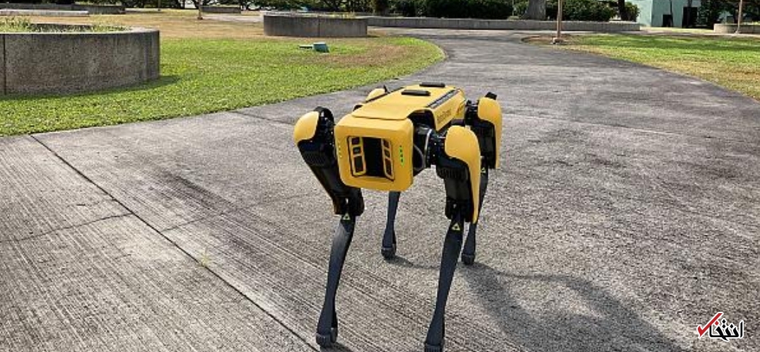 سگ&zwnj;های رباتیک عرصه اشتغال انسان&zwnj;ها را تنگ کردند