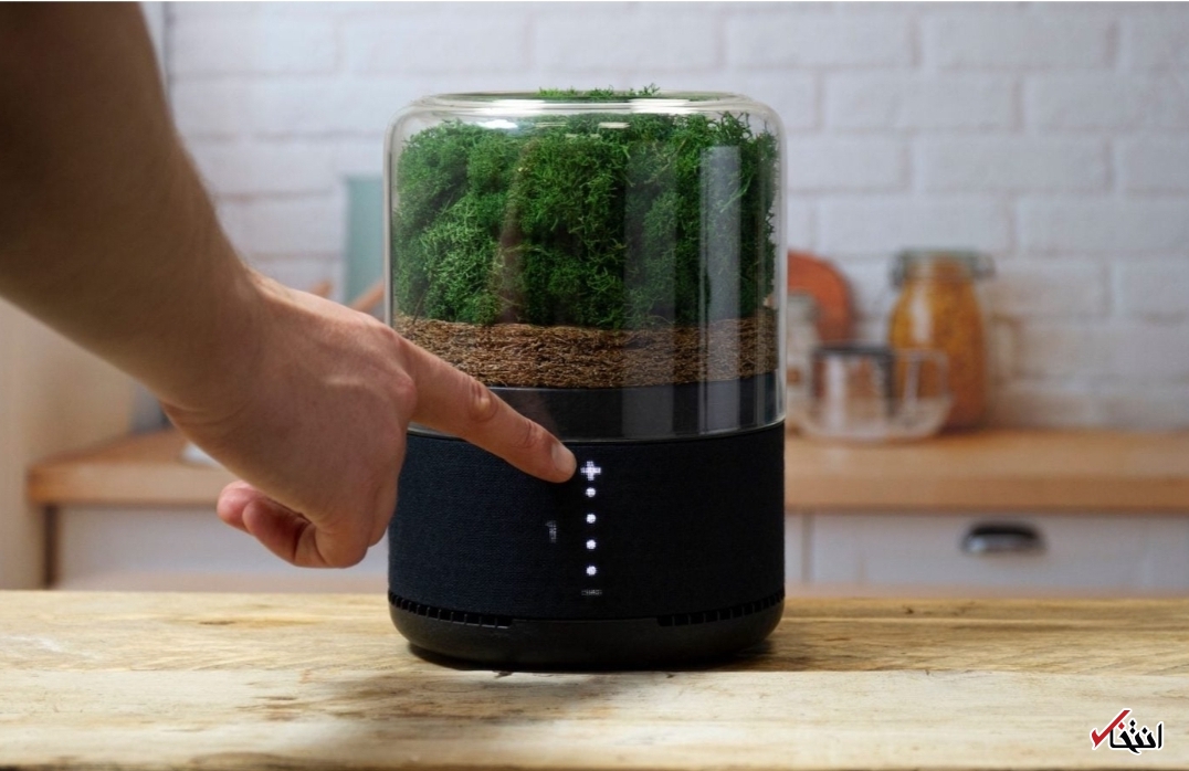 تصفیه هوای هوشمند با کمک گیاهان+ تصاویر