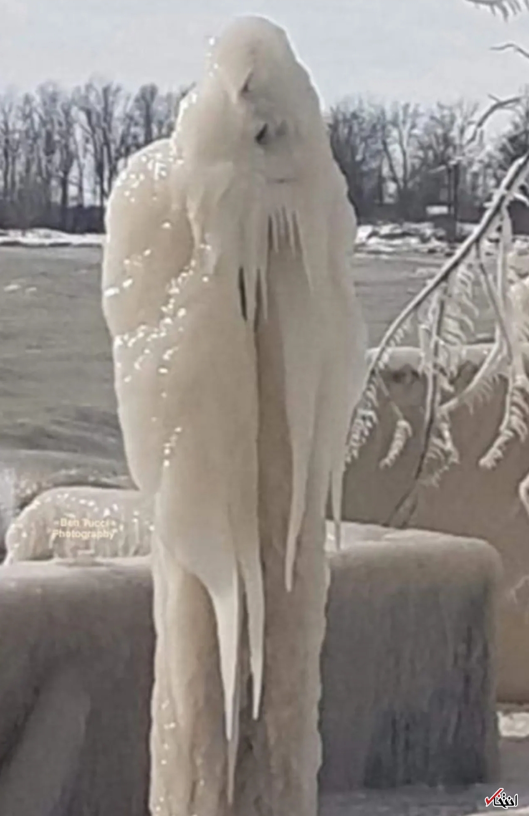 حمله ارواح یخی به خانه مرد کانادایی