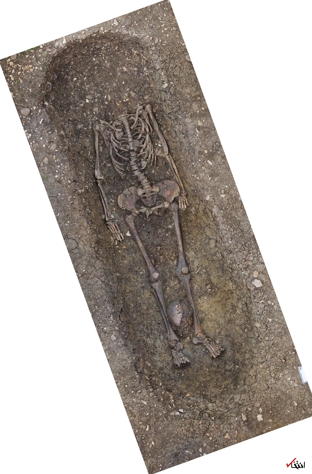 کشف گورستان ۲ هزار ساله با ۴۰ اسکلت سر بریده