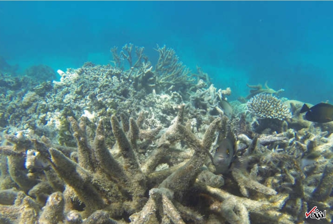 ۵ جاذبه گردشگری معروف جهان که در طول زمان تغییر کردند+تصاویر