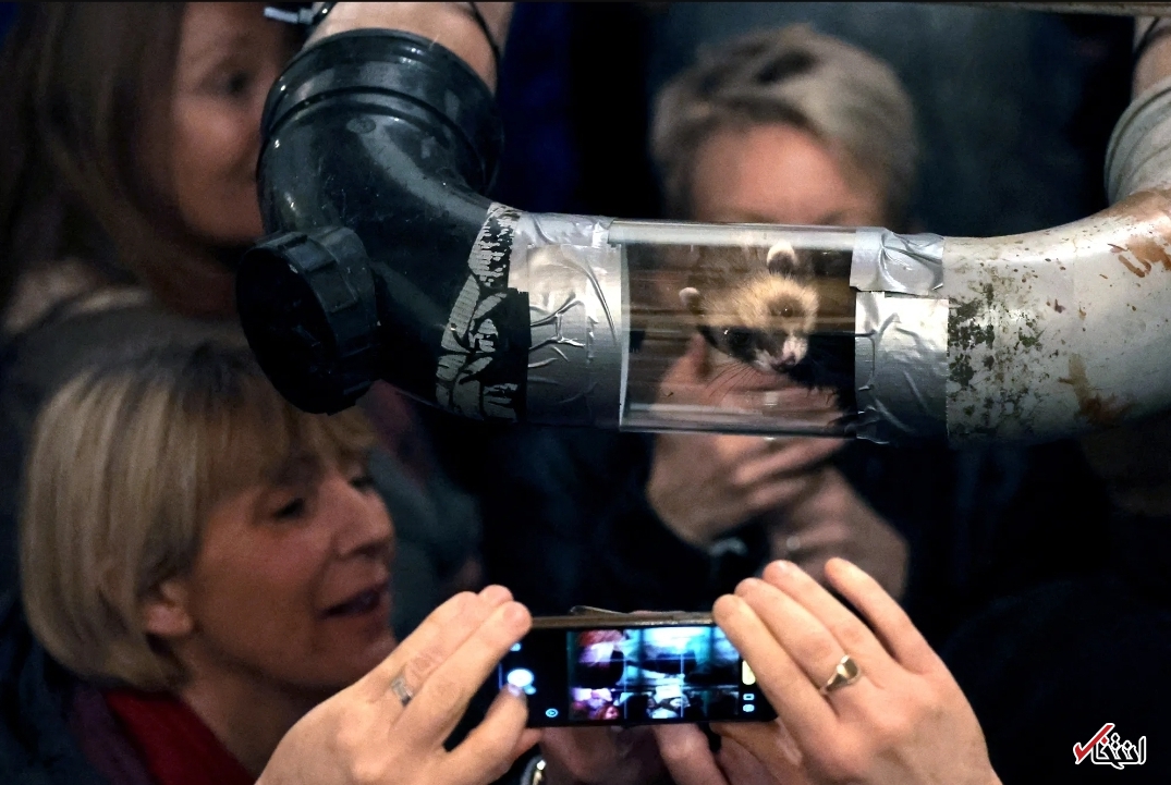 تصاویر یکی از عجیب&zwnj;ترین مسابقات جهان