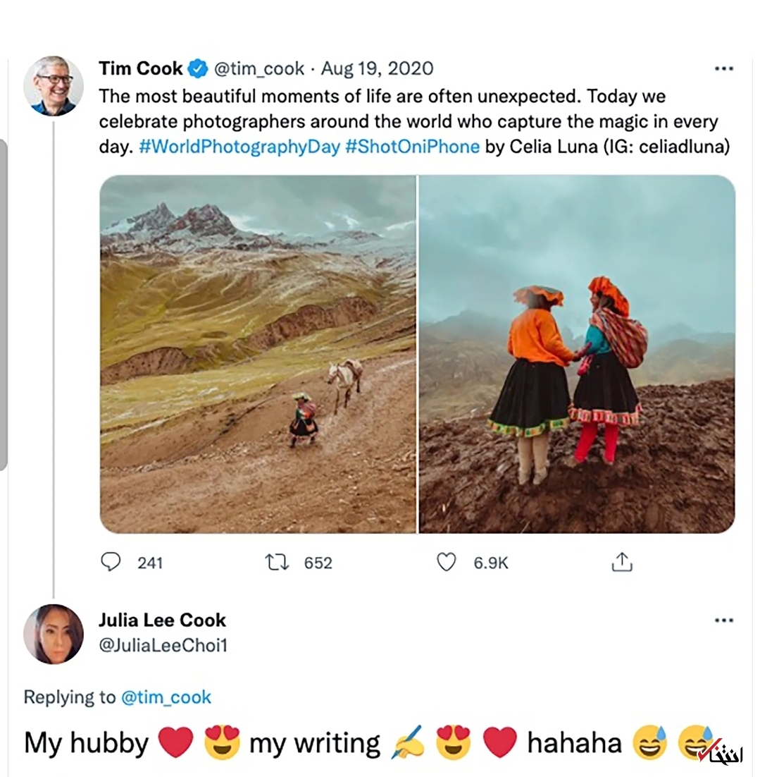 ماجرای زن عجیبی که مدیرعامل اپل را تهدید می&zwnj;کند