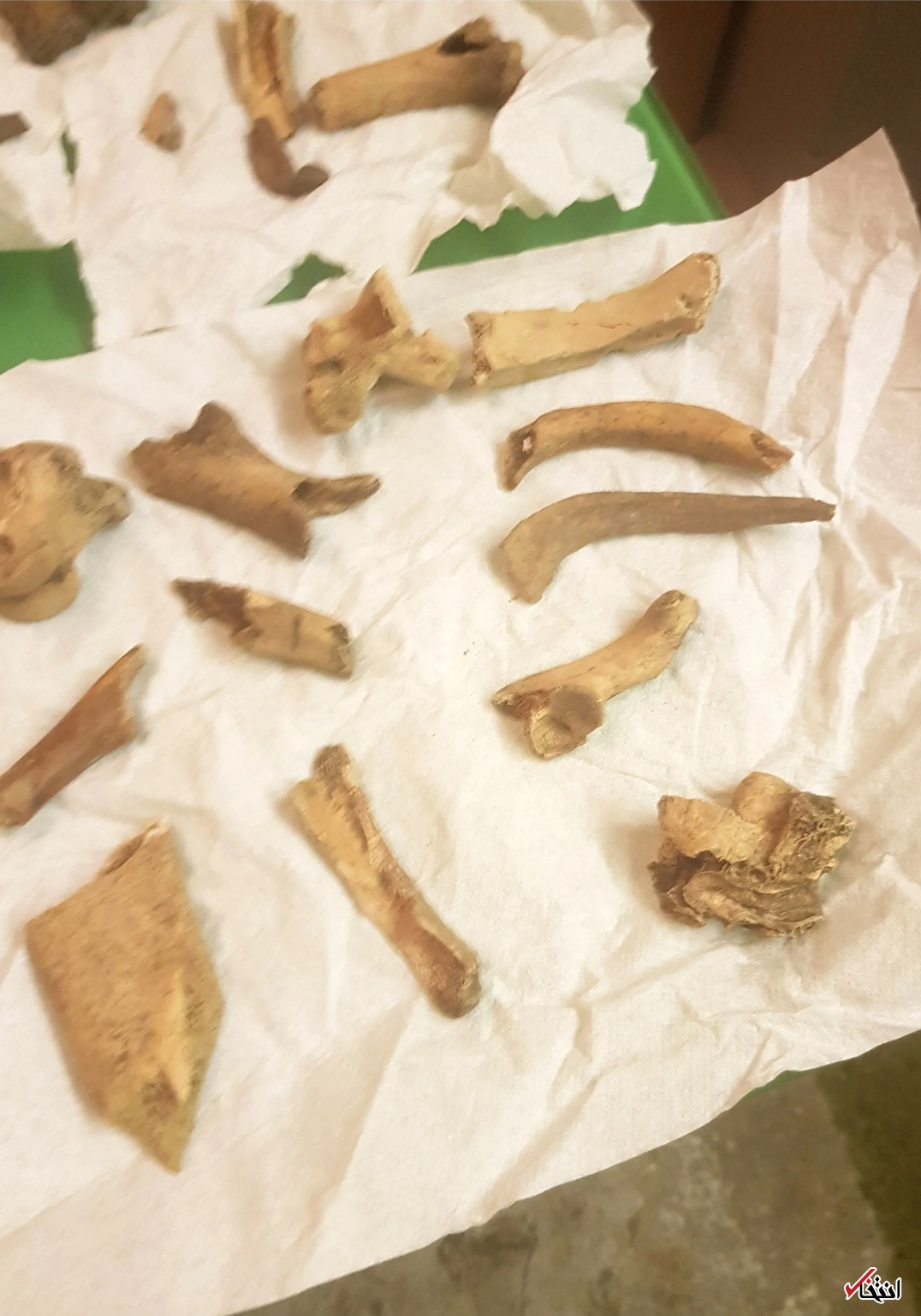 مسافرخانه ارواح+تصاویر