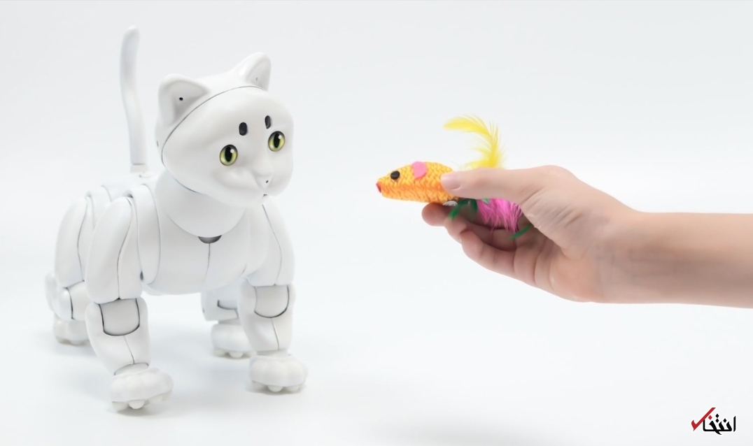 گربه رباتیک مبتنی بر هوش مصنوعی+تصاویر