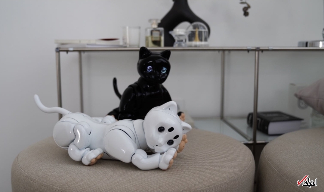 گربه رباتیک مبتنی بر هوش مصنوعی+تصاویر