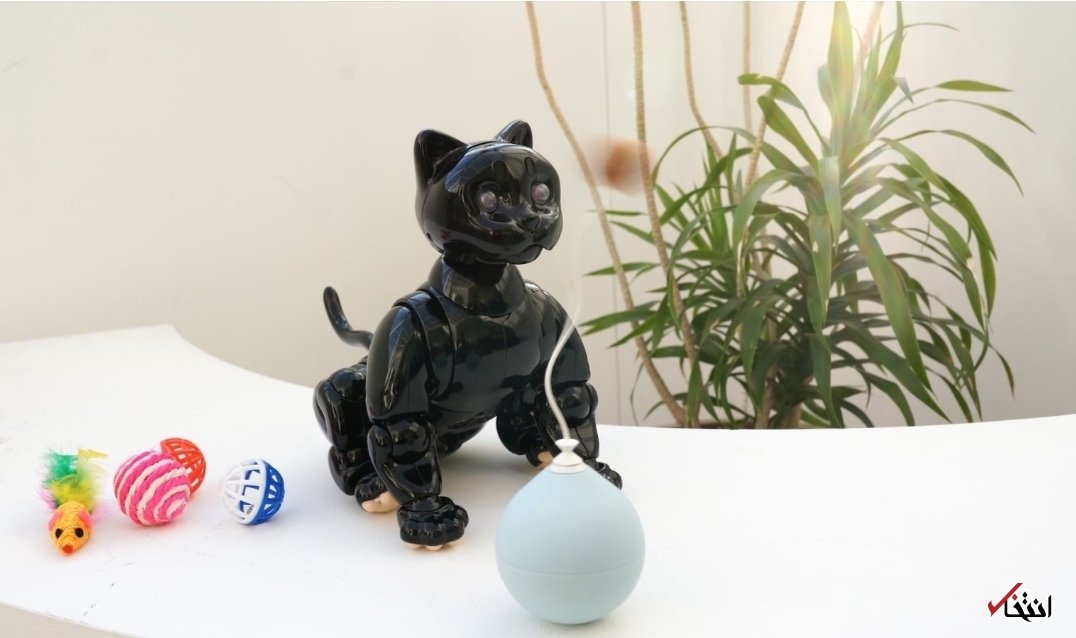 گربه رباتیک مبتنی بر هوش مصنوعی+تصاویر