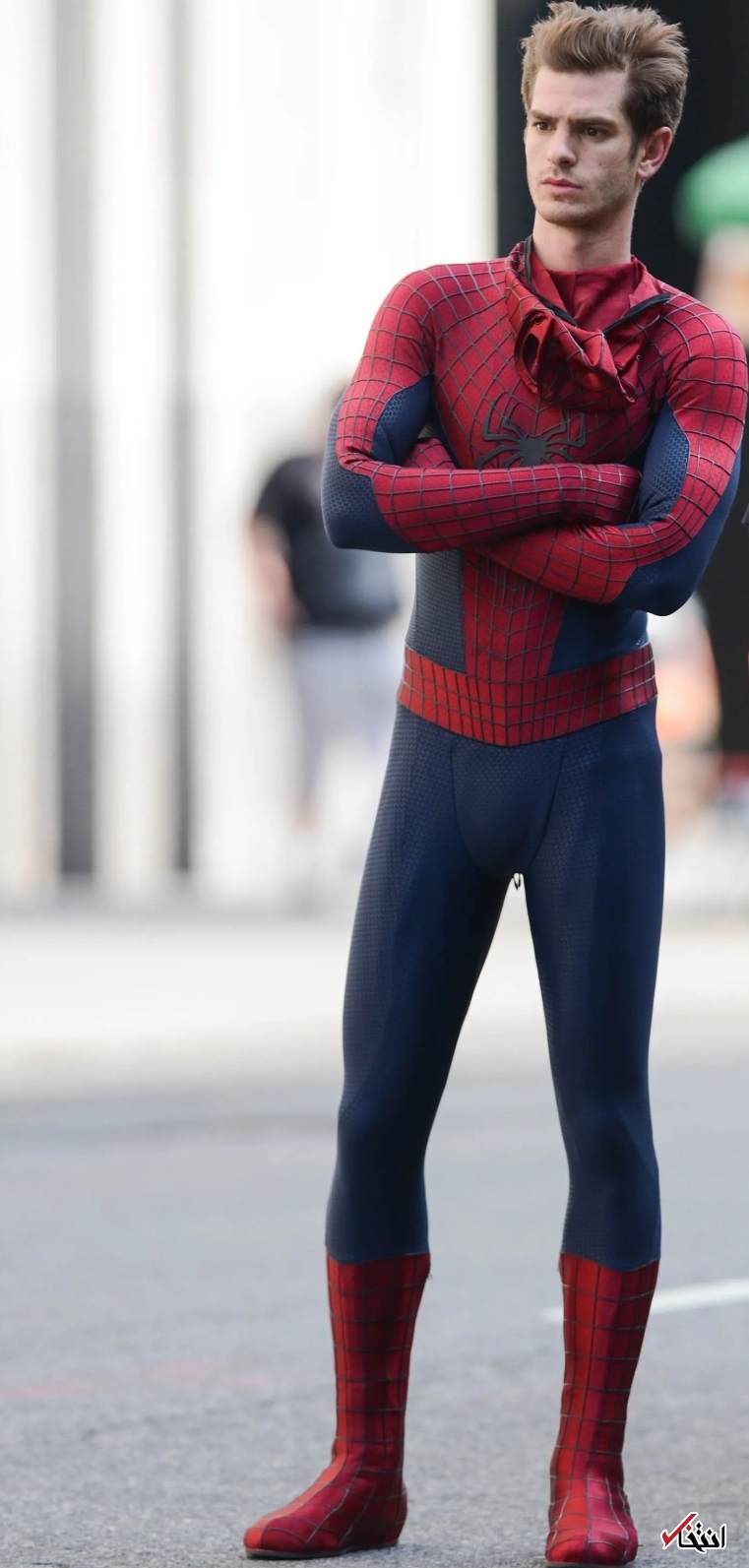 اظهار ارادت مردان عنکبوتی به یکدیگر!