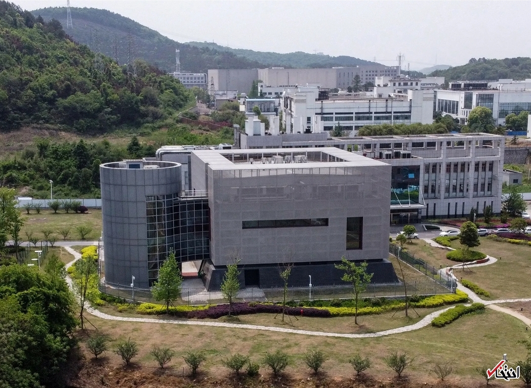 منشاء احتمالی کرونا کشف شد؟