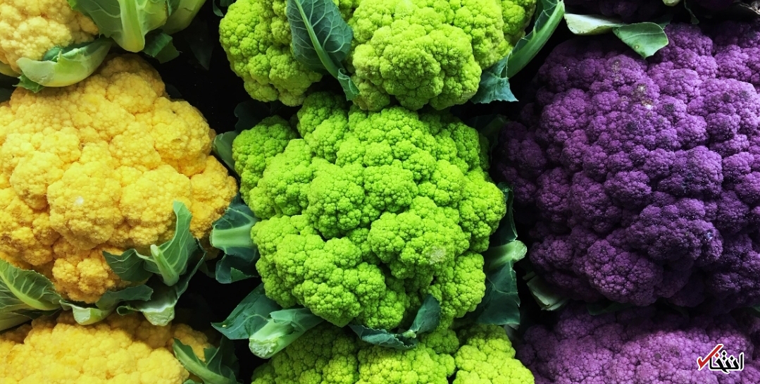 خواص باورنکردنی گل کم