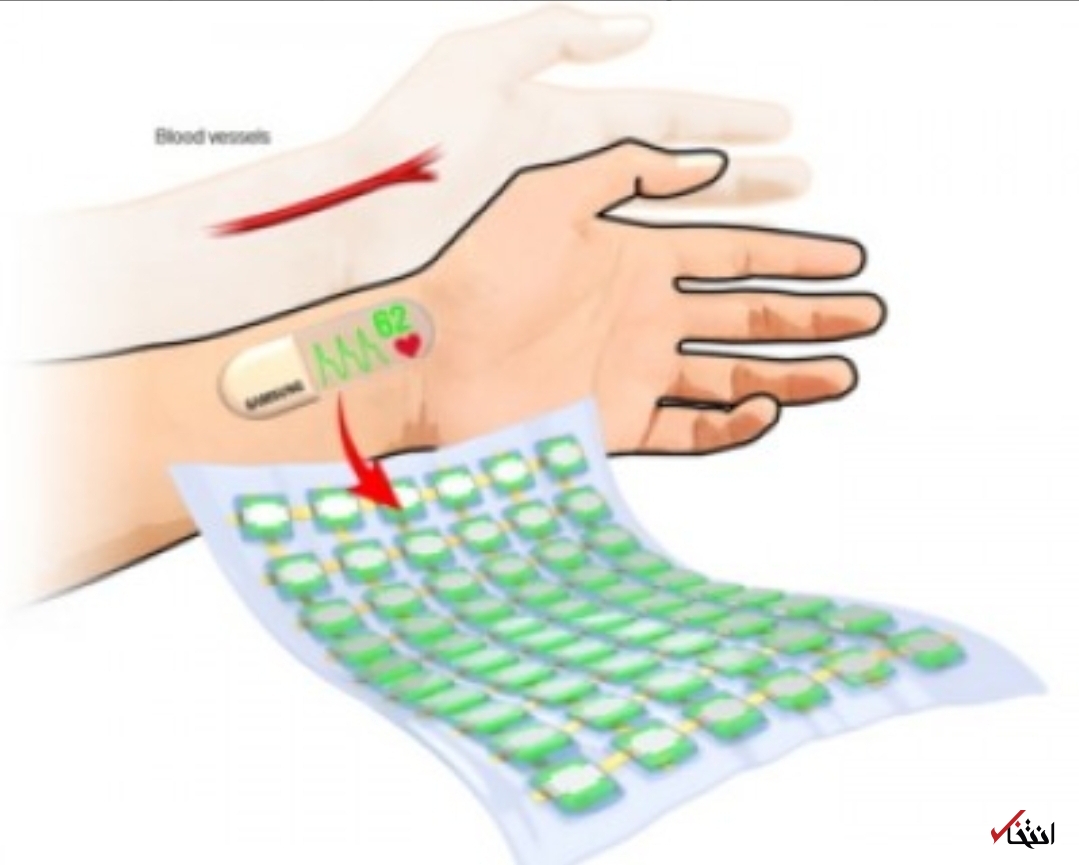 تناسب اندام کاربران