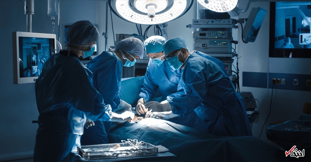  جویندگان لاغری 