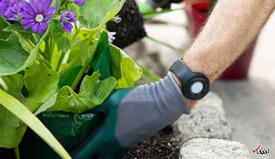 امنیت سالمندان