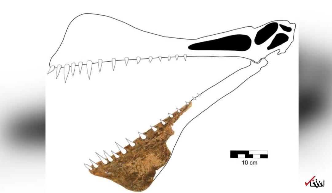 ماجرای پرواز اژد&zwnj;های غول پیکر 