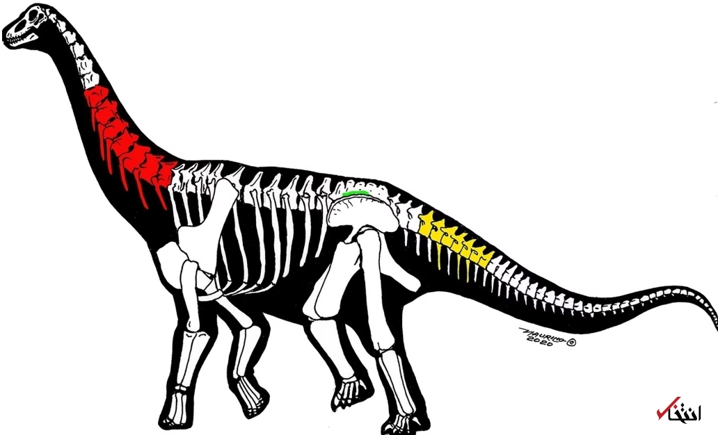  دایناسور&zwnj;