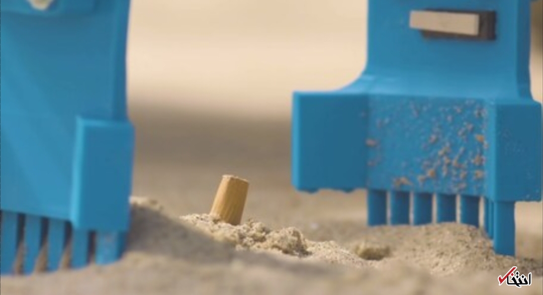 پاکسازی ساحل