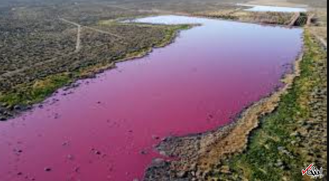 تالاب آرژانتین