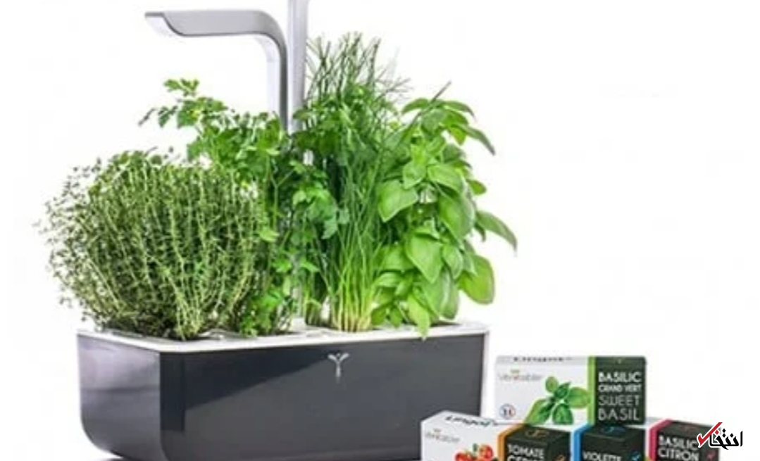 باغچه هوشمند با نور LED خودکار + تصاویر