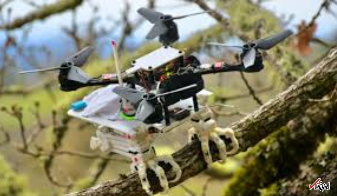 پرواز ربات پرنده در آسمان&zwnj;ها