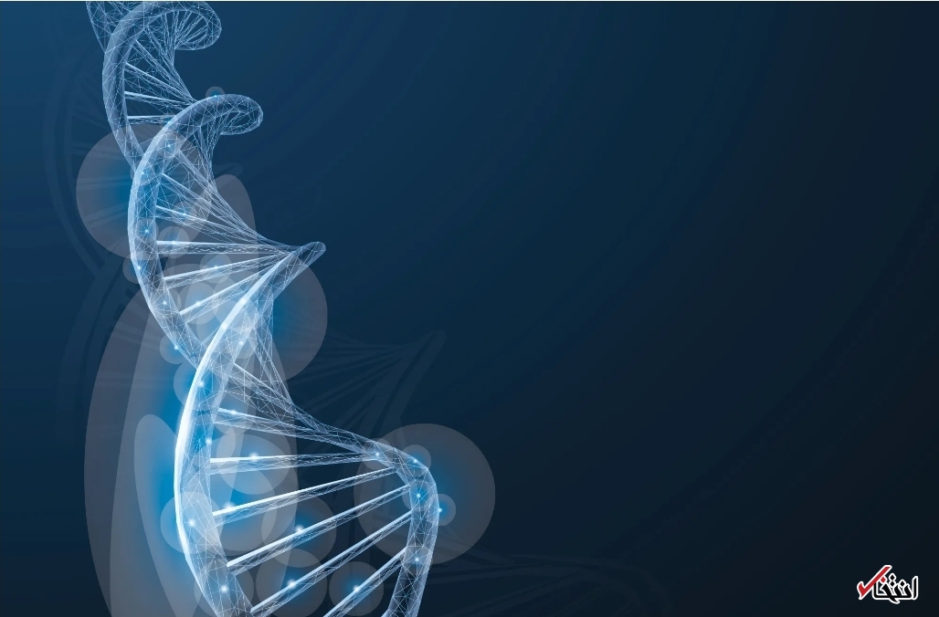 حل معمای قتل ۲۰ ساله با کمک یک حلزون