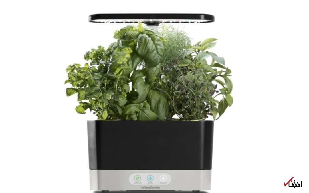 باغچه هوشمند بی نیاز از آفتاب+تصاویر