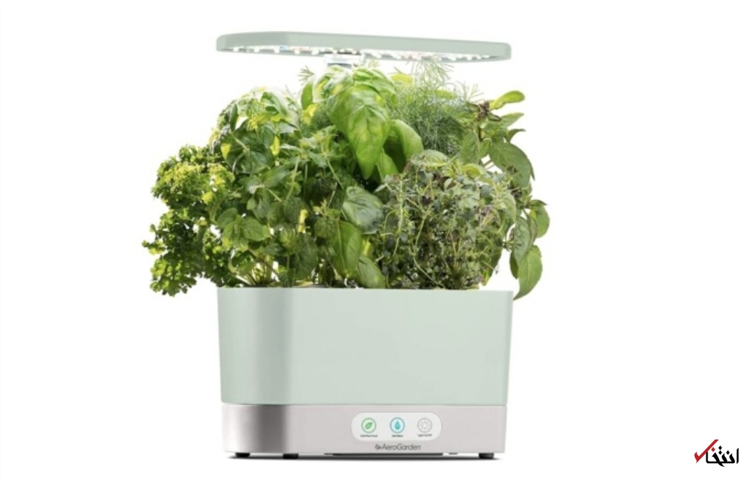 باغچه هوشمند بی نیاز از آفتاب+تصاویر