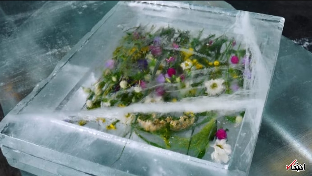 اقامت در هتل یخی با جادوی عطر گیاهان معطر+تصاویر