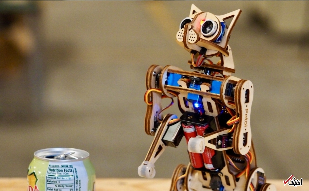 گربه رباتیکی که معلم برنامه نویسی است+تصاویر