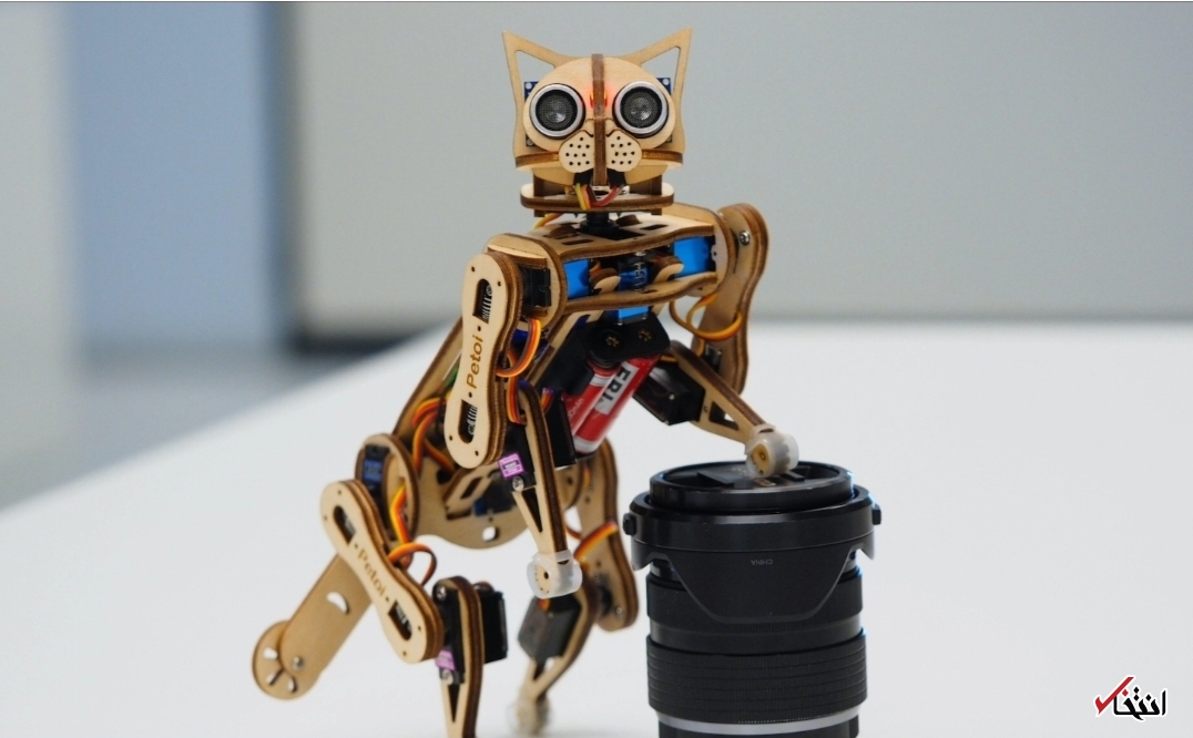 گربه رباتیکی که معلم برنامه نویسی است+تصاویر