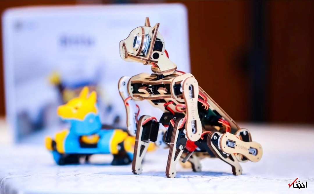 گربه رباتیکی که معلم برنامه نویسی است+تصاویر