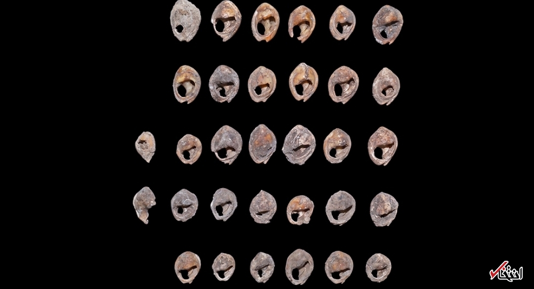 کشف قدیمی&zwnj;ترین جواهرات جهان در قاهره+تصاویر