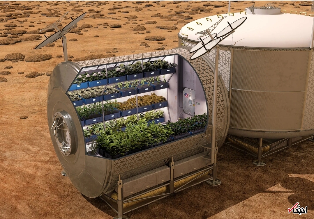 سالادهای که از کوتاهی قد فضانوردان پیشگیری می کنند