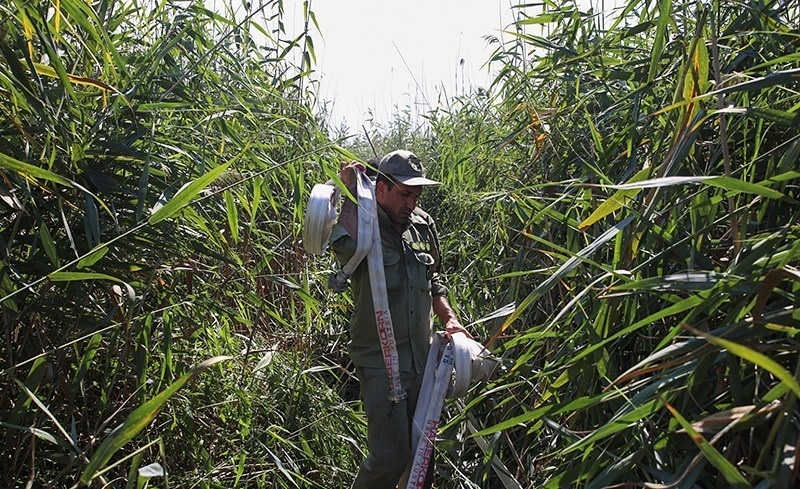 مهار کامل آتش&zwnj;سوزی در تالاب بین&zwnj;المللی انزلی/ پایش نقطه به نقطه تالاب ادامه دارد + تصاویر