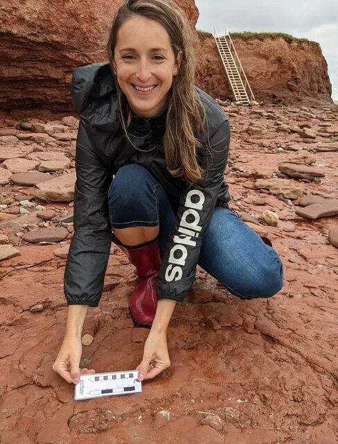 کشف فسیل جانوری ناشناخته قدیمی&zwnj;تر از دایناسورها