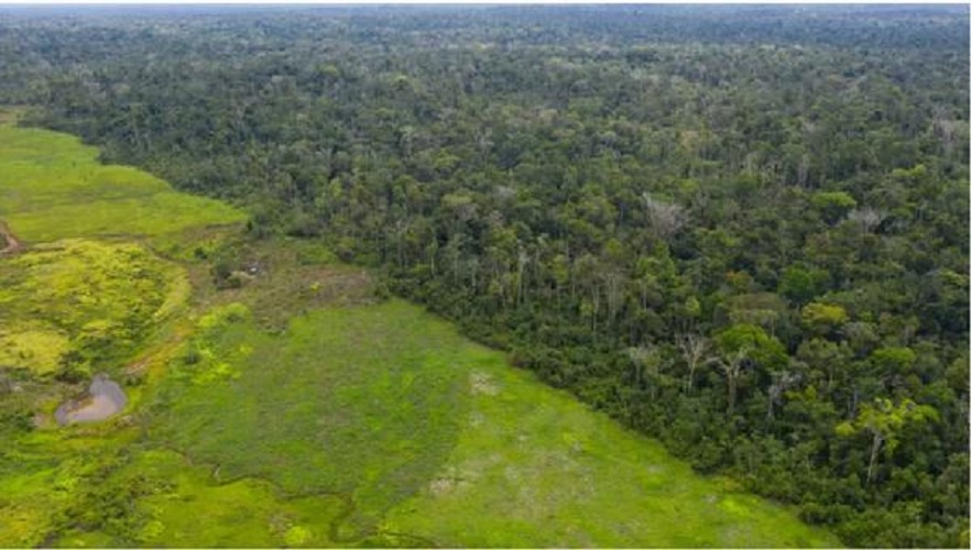 آخرین عضو یک قبیلۀ &laquo;قتل&zwnj;عام شده&raquo; در آمازون درگذشت